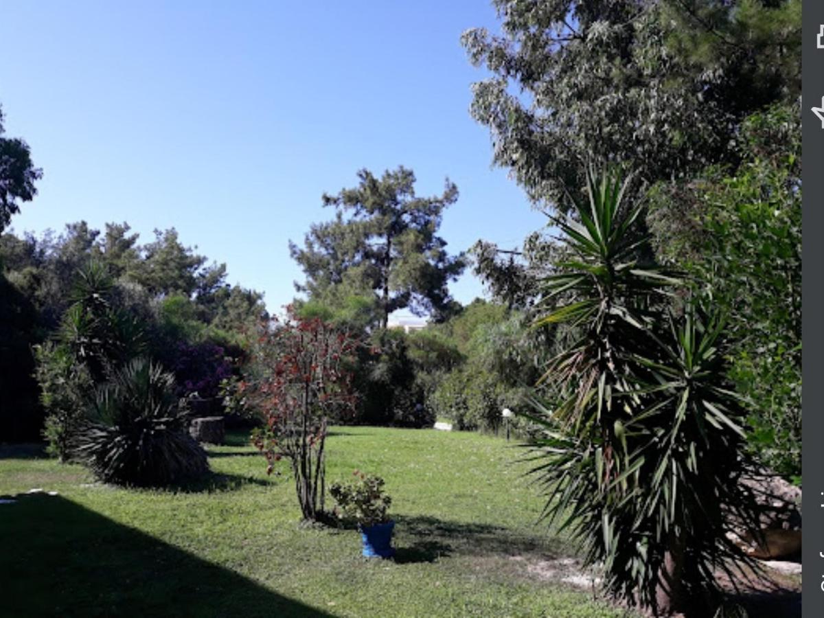 Trees Art Hotel Ialysos  Exterior foto